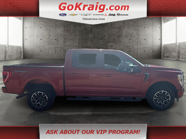 Used 2023 Ford F150 XLT w/ Equipment Group 302A High AWD/4WD image 4