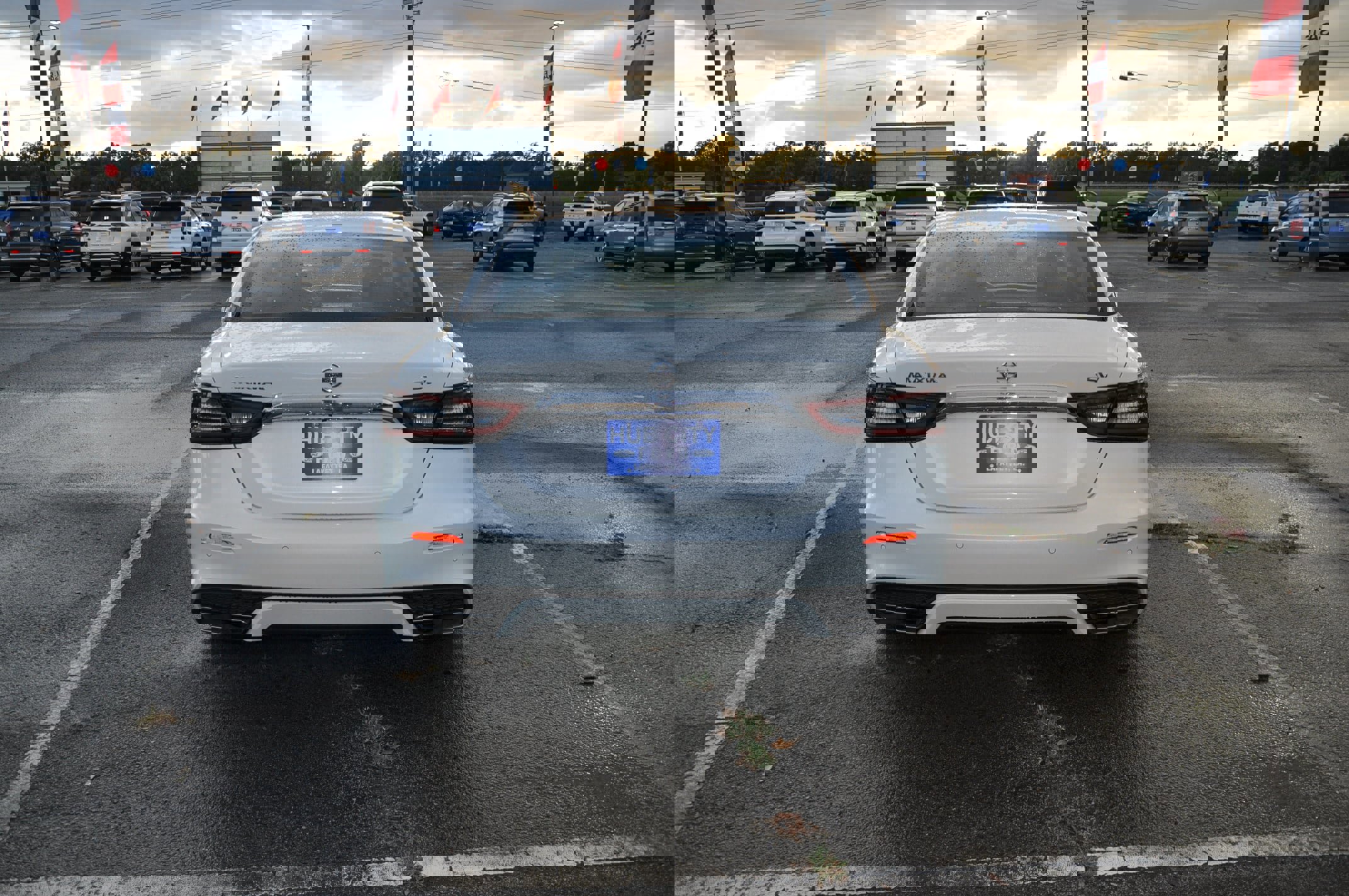 Used 2021 Nissan Maxima 3.5 SV w/ Floor Mat Group image 4