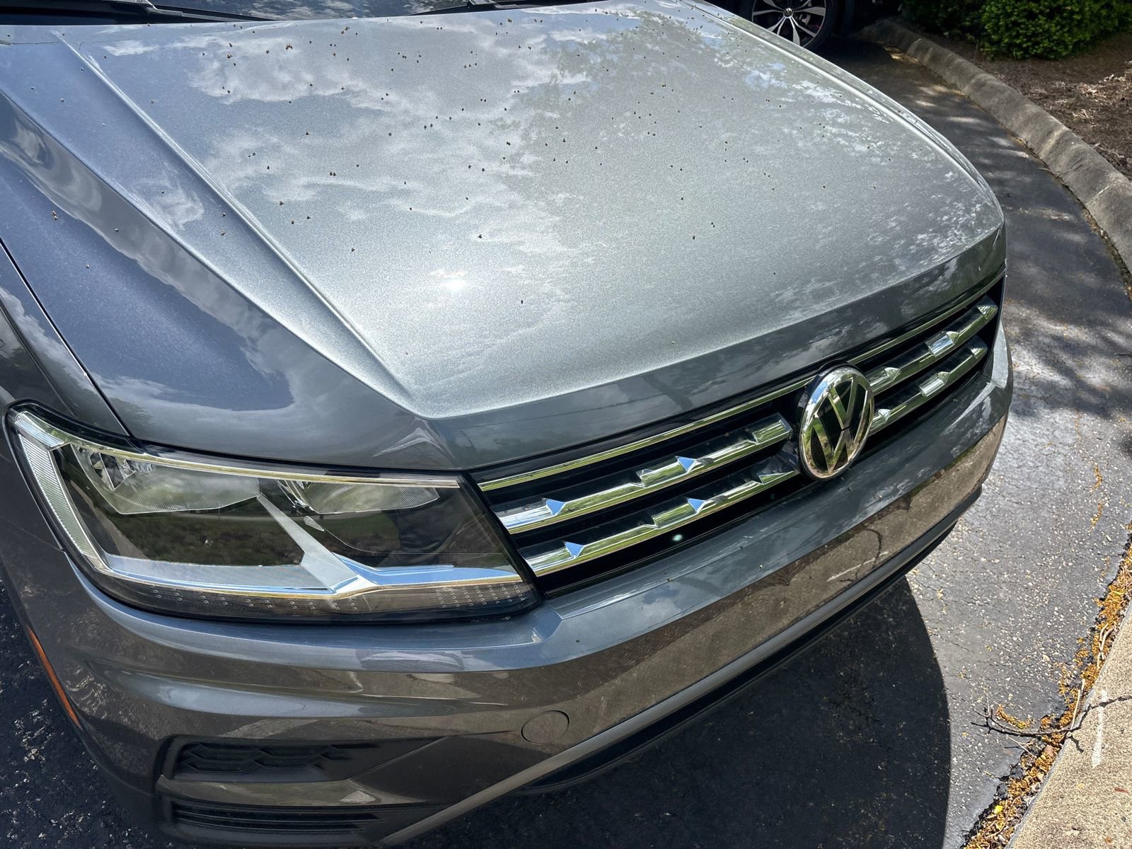 Used 2019 Volkswagen Tiguan SE AWD/4WD image 15
