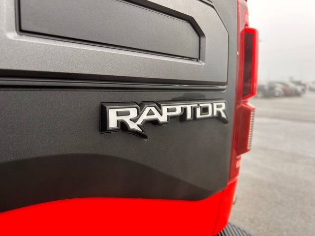Used 2019 Ford F150 Raptor w/ Equipment Group 802A Luxury image 9