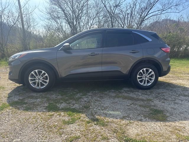 Used 2021 Ford Escape SE image 5
