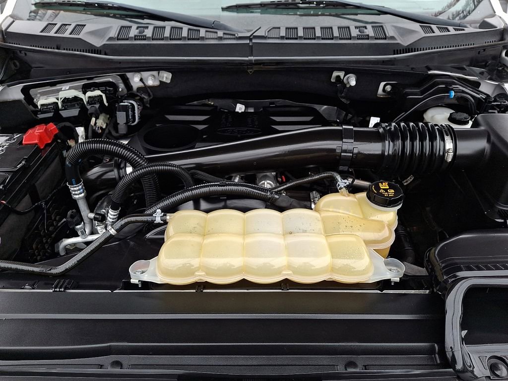 Used 2019 Ford F150 King Ranch image 32