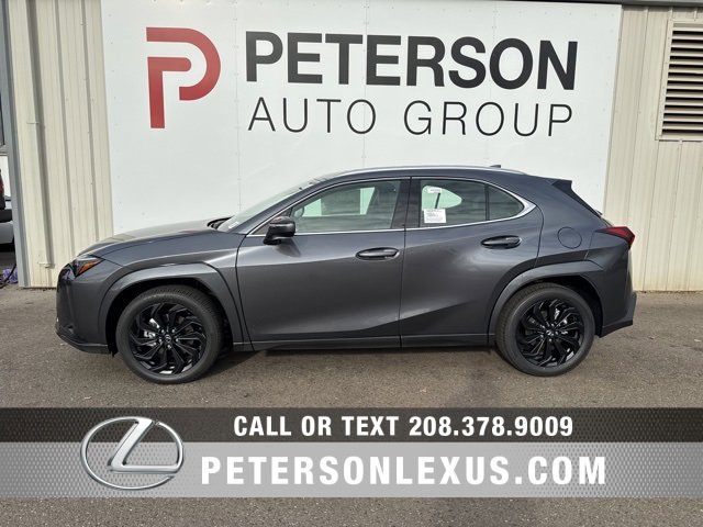 New 2025 Lexus UX 300h AWD image 6