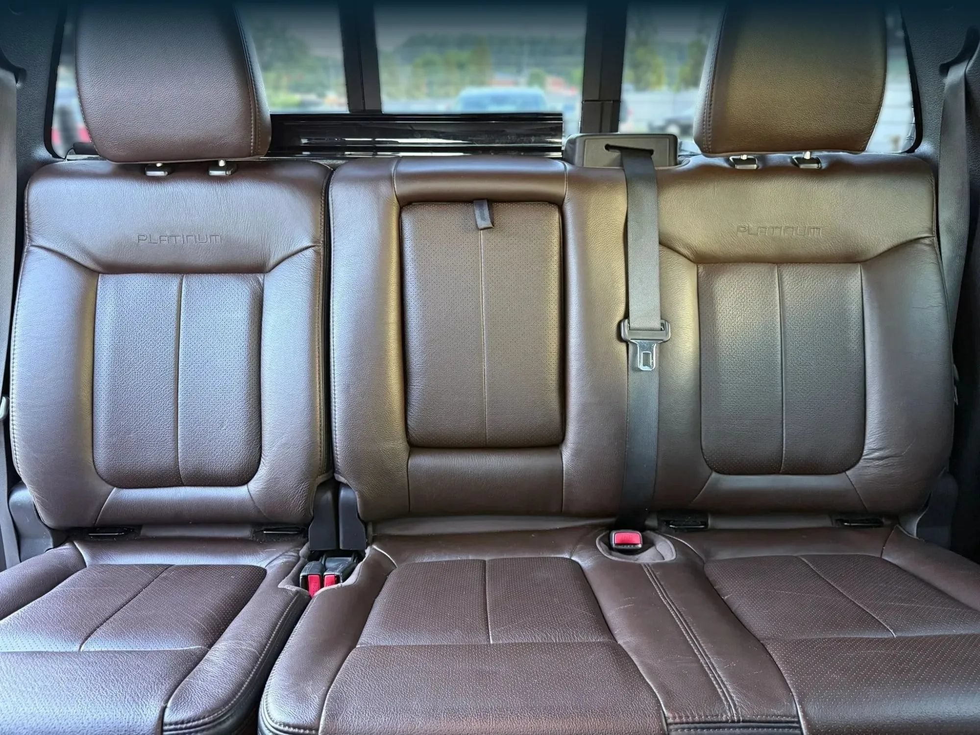 Used 2010 Ford F150 Platinum RWD image 22