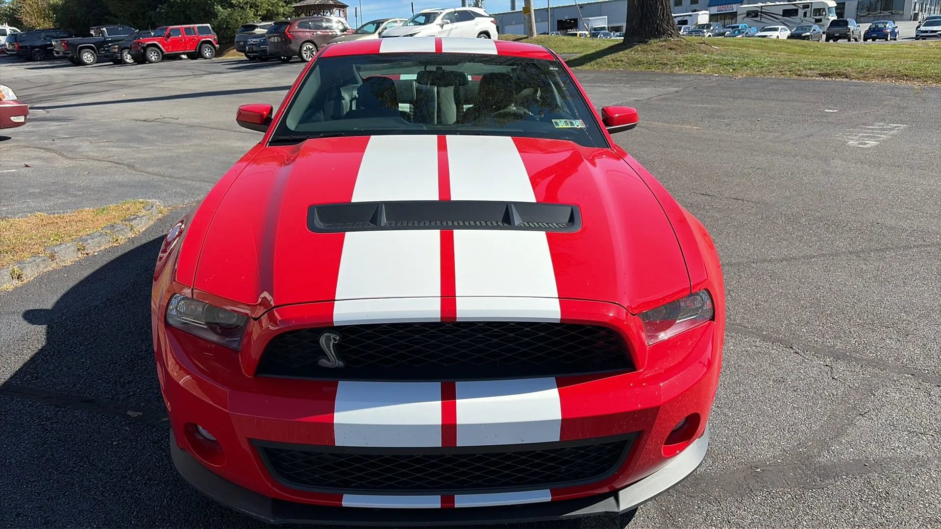 Used 2010 Ford Mustang Shelby GT500 image 20