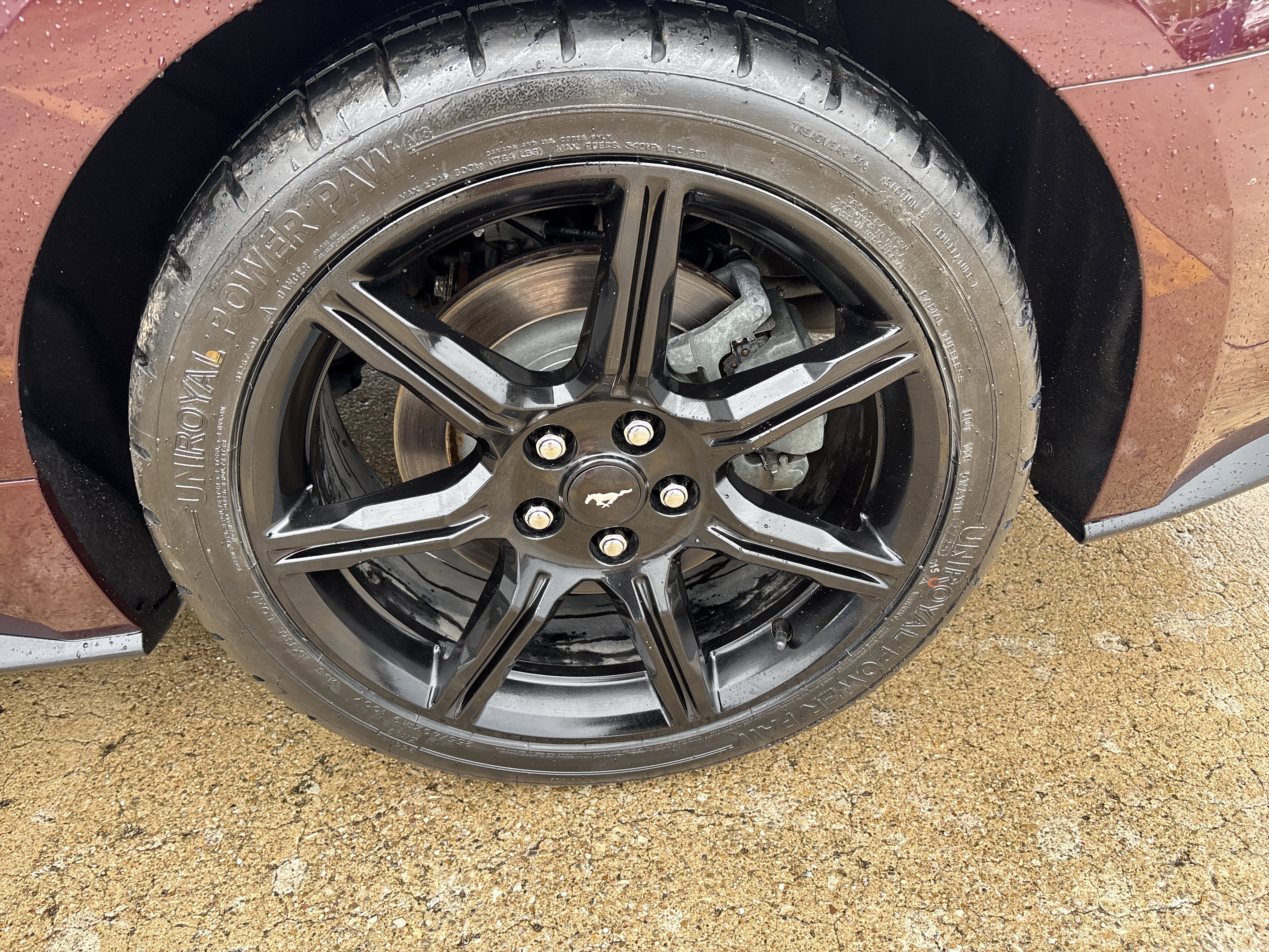 Used 2018 Ford Mustang GT w/ Black Accent Pkg RWD image 13