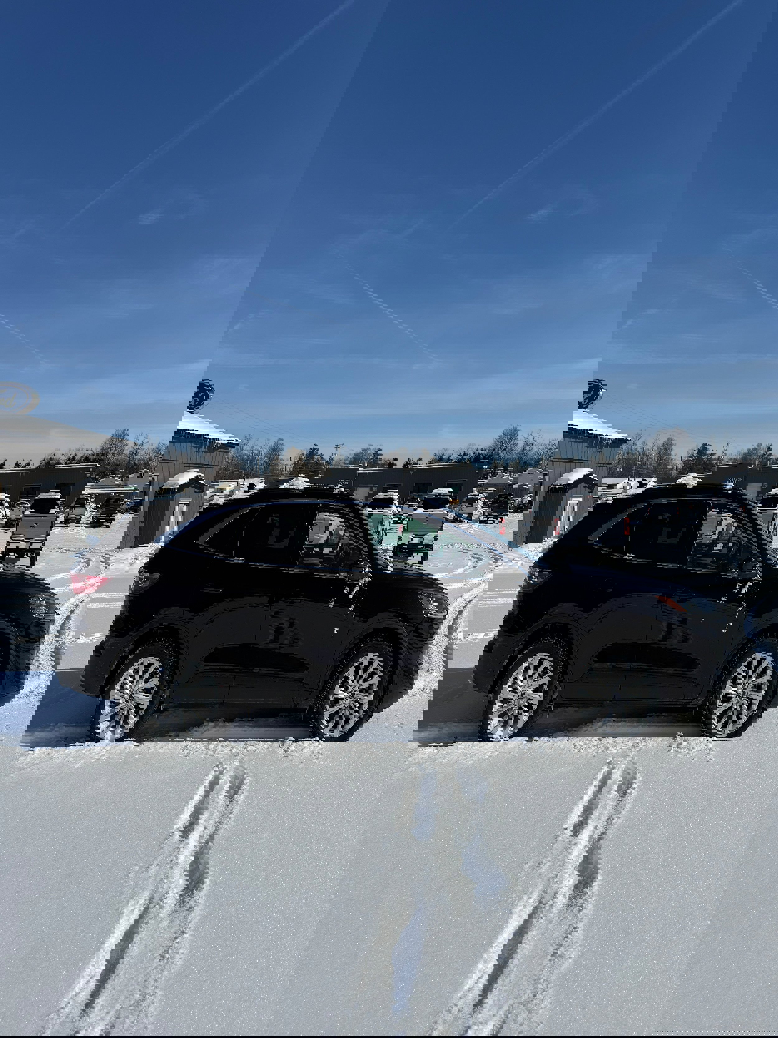 Used 2022 Ford Escape Titanium w/ Titanium Elite Package image 6