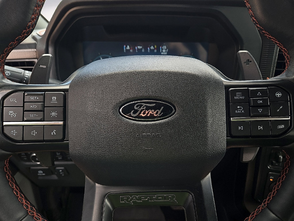 Used 2025 Ford F150 Raptor AWD/4WD image 19