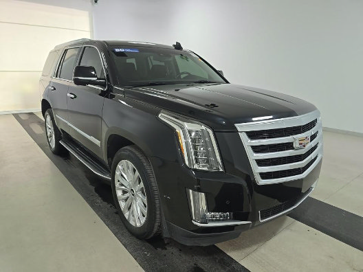 Used 2016 Cadillac Escalade Luxury RWD image 3