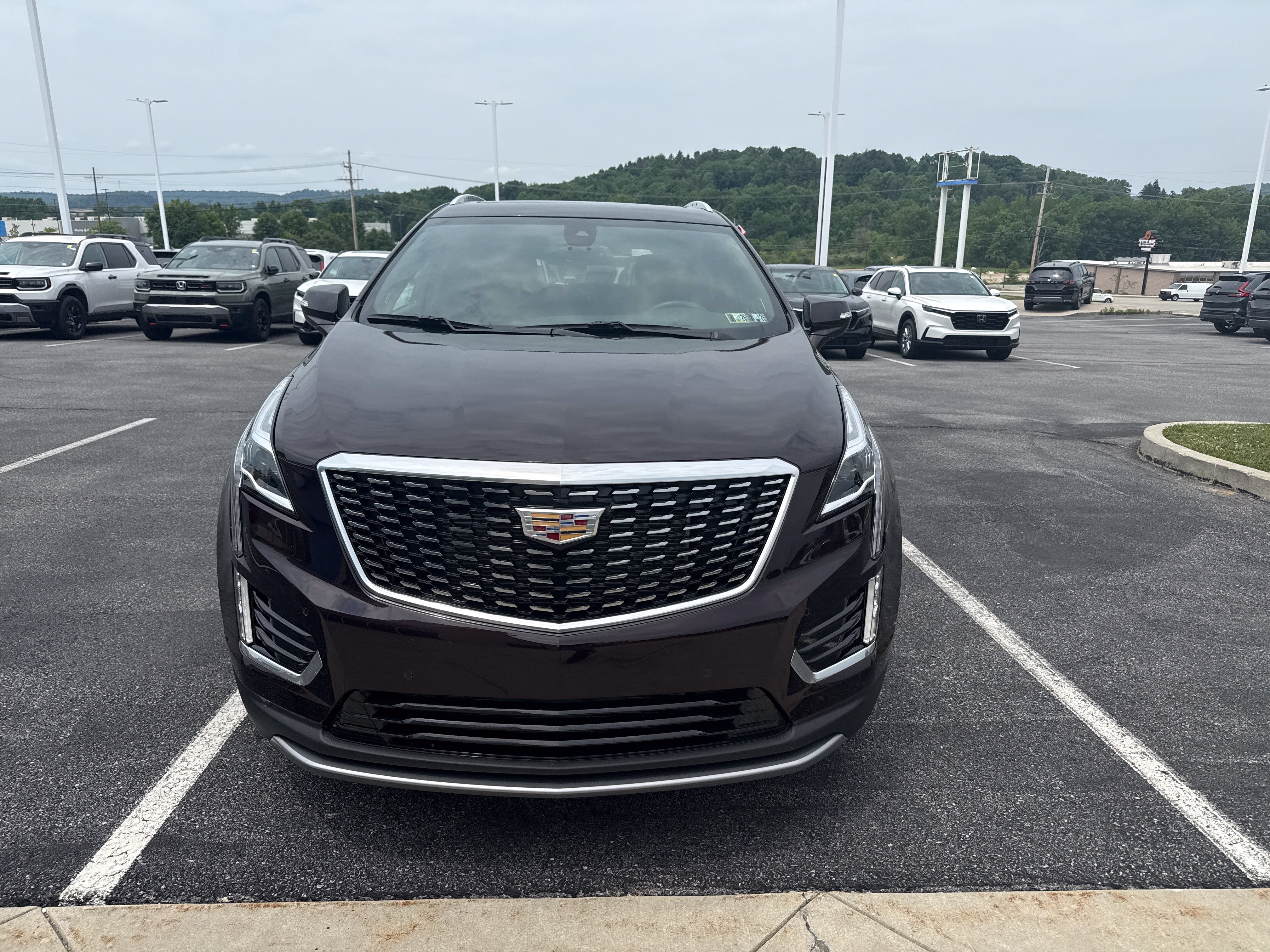 Used 2021 Cadillac XT5 Premium Luxury AWD/4WD image 8