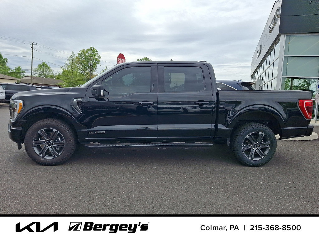 Used 2023 Ford F150 XLT w/ Equipment Group 302A High AWD/4WD image 9