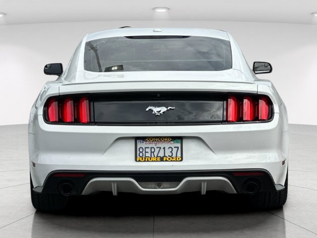 Used 2017 Ford Mustang Premium RWD image 4