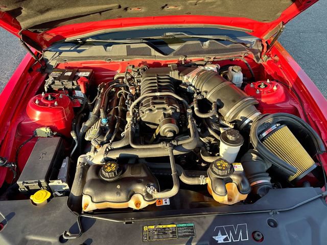 Used 2010 Ford Mustang Shelby GT500 image 10