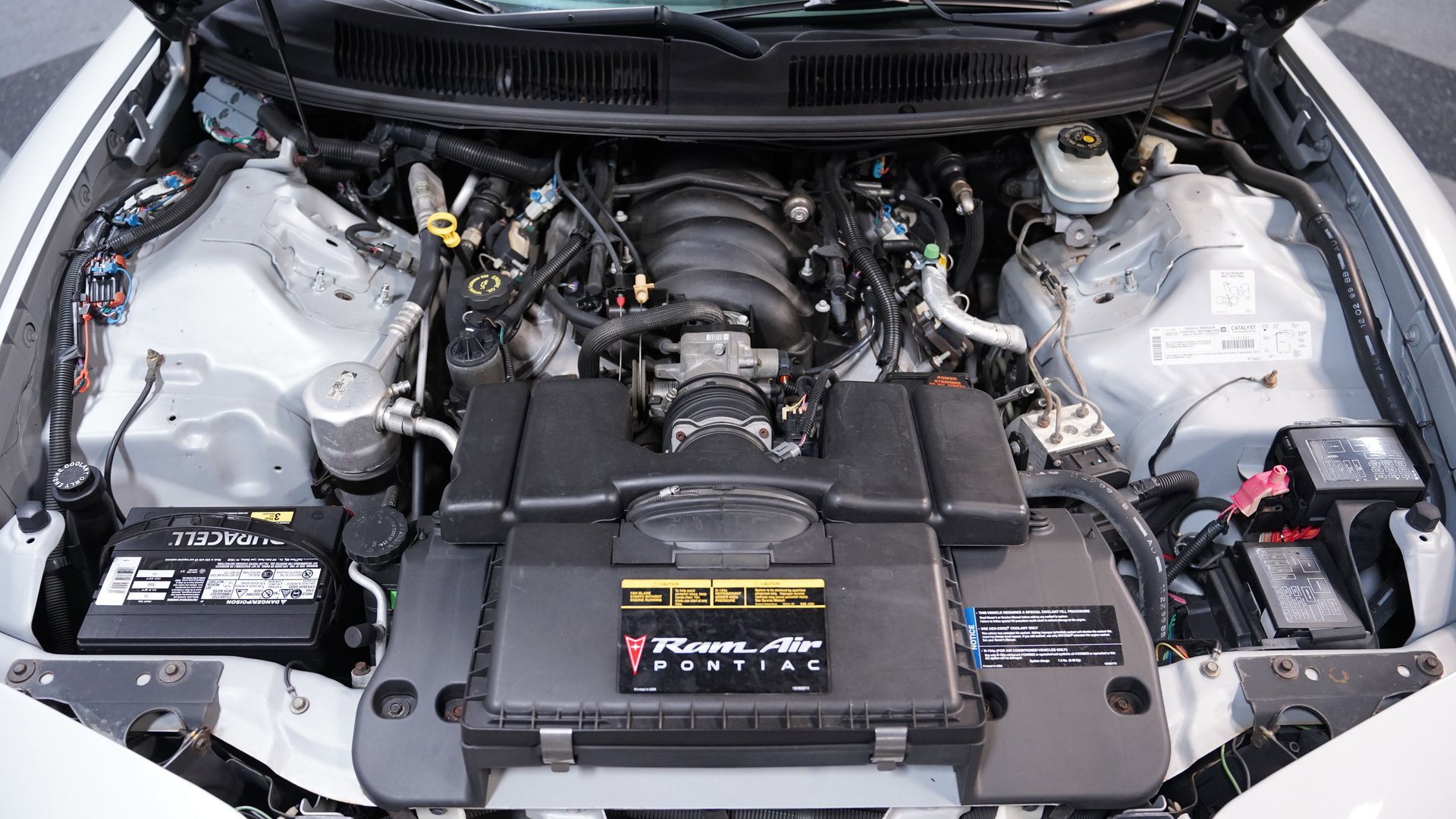 Used 2000 Pontiac Firebird Trans Am RWD image 3