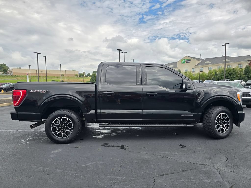 Used 2023 Ford F150 XLT w/ Equipment Group 302A High AWD/4WD image 11