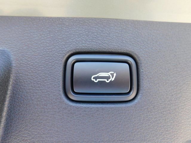 Used 2024 Kia Sportage X-Line w/ X-Line Premium Package image 13