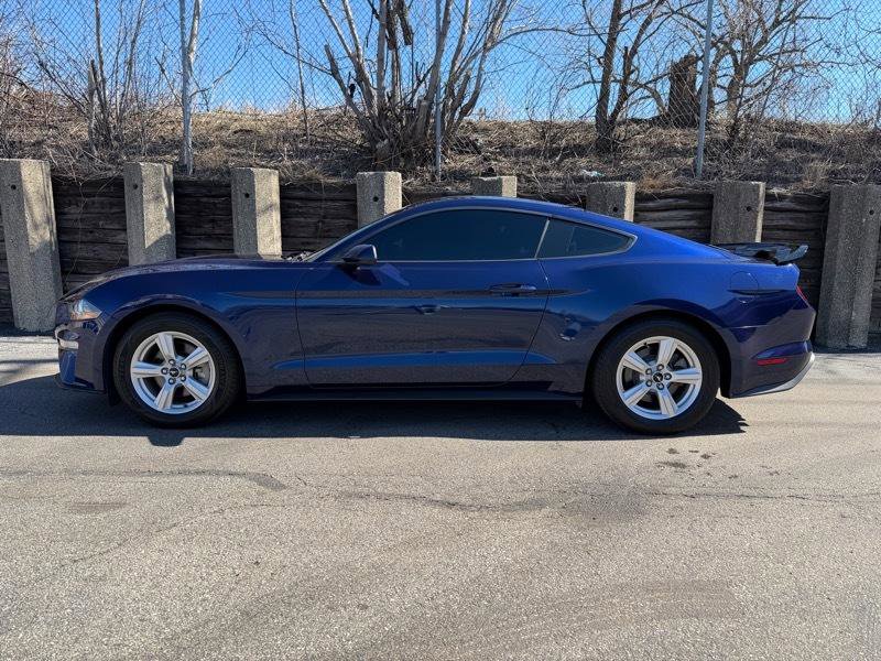 Used 2019 Ford Mustang Coupe RWD image 6