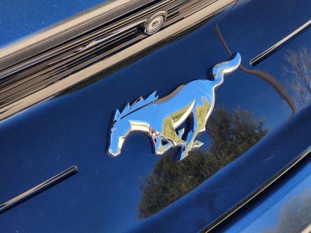 Used 2019 Ford Mustang EcoBoost image 12