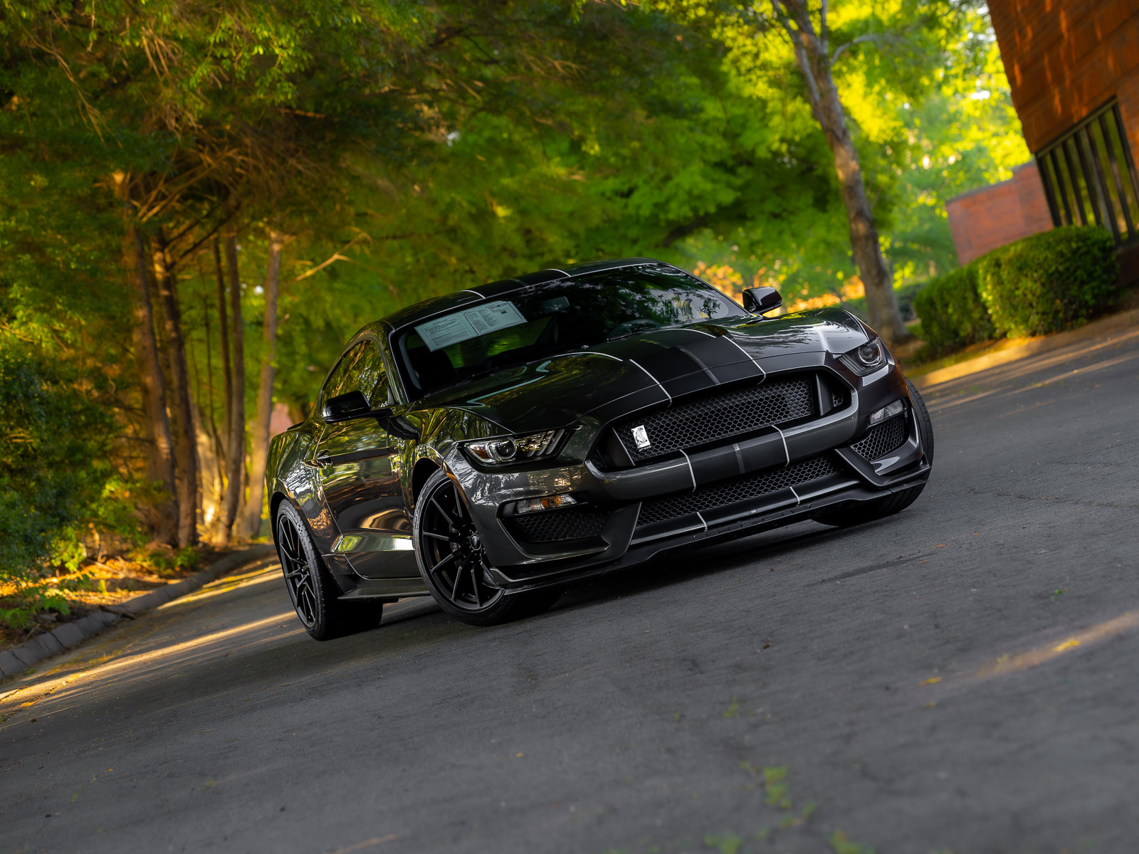 Used 2016 Ford Mustang Shelby GT350 w/ Technology Package RWD image 21