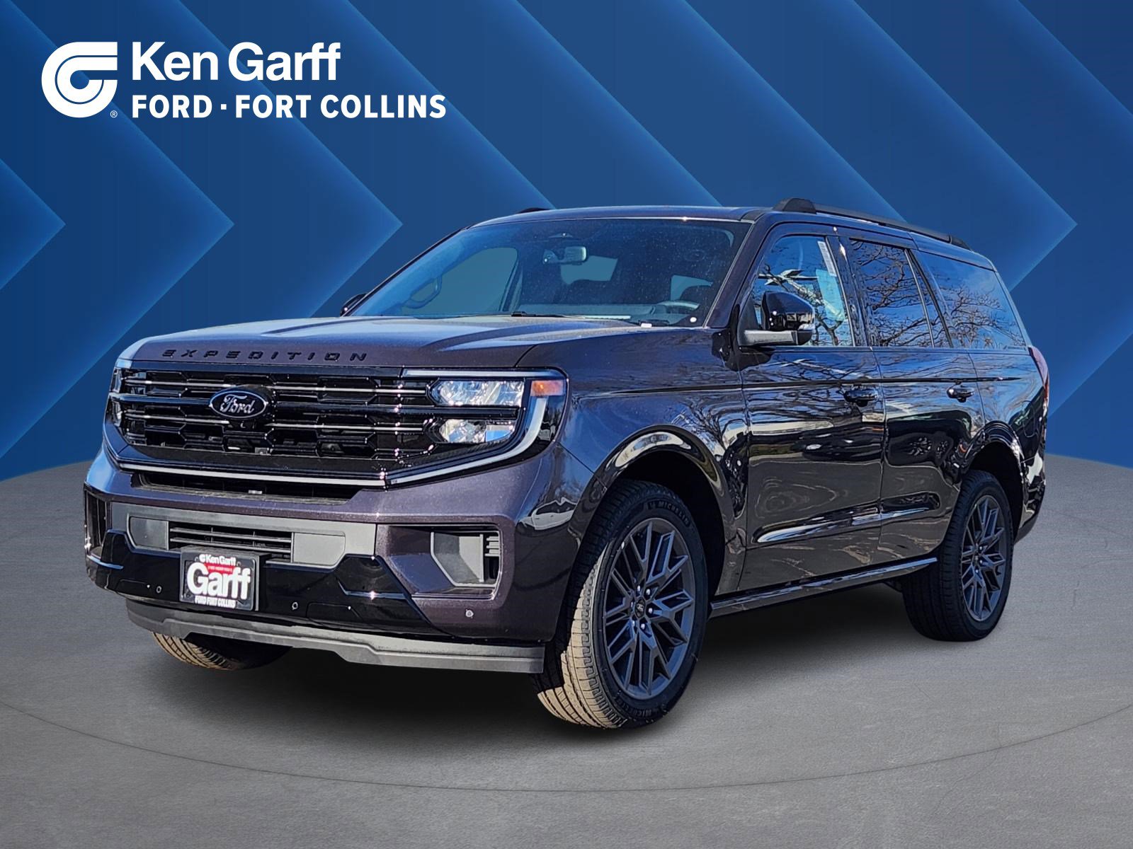 New 2025 Ford Expedition Platinum w/ Stealth Performance Package