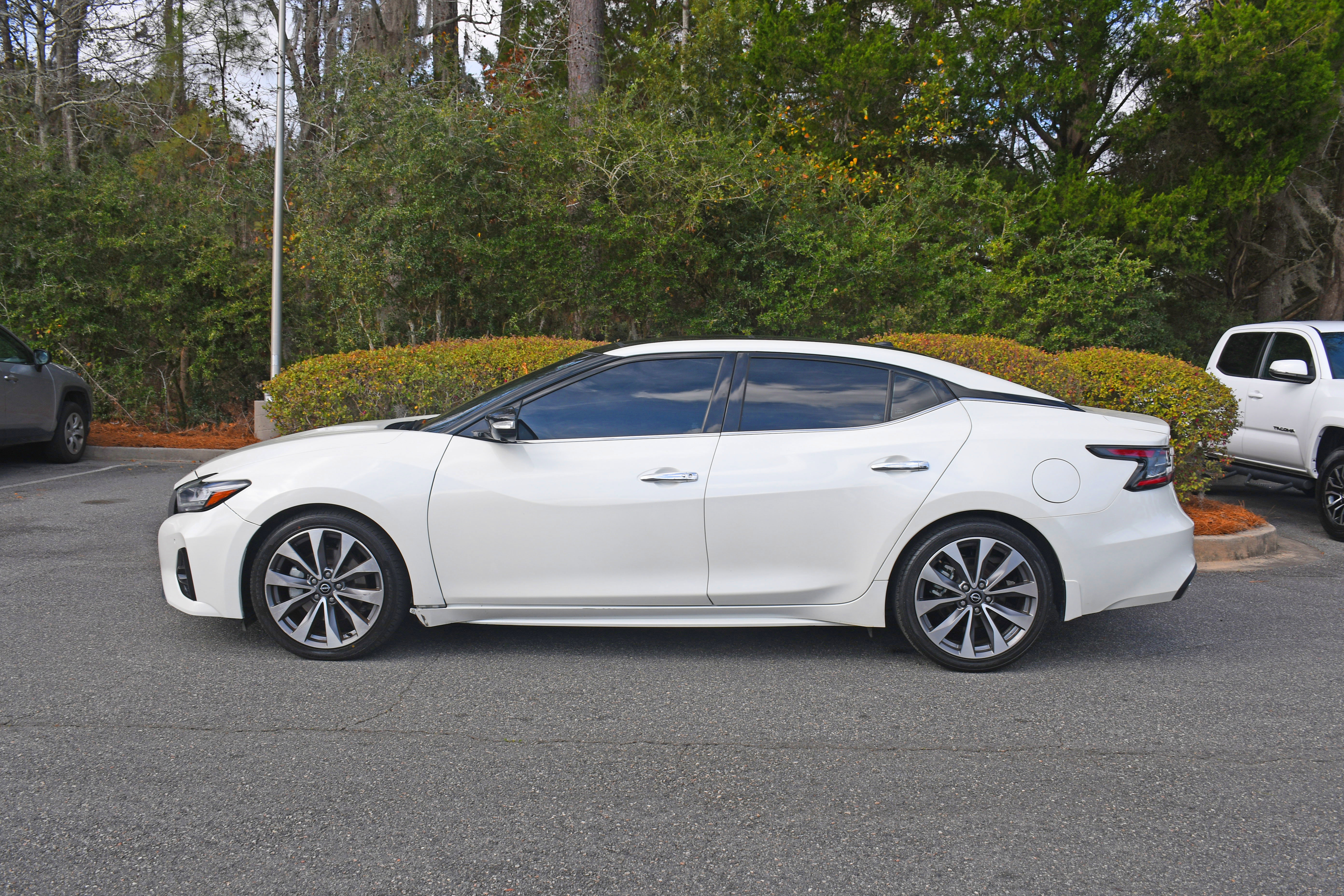 Used 2023 Nissan Maxima Platinum w/ Sport Mat Group image 2