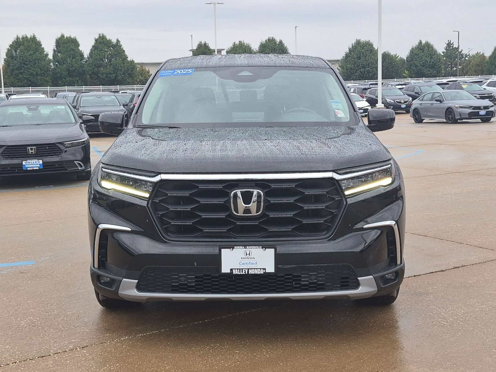 Certified 2025 Honda Pilot EX-L image 3