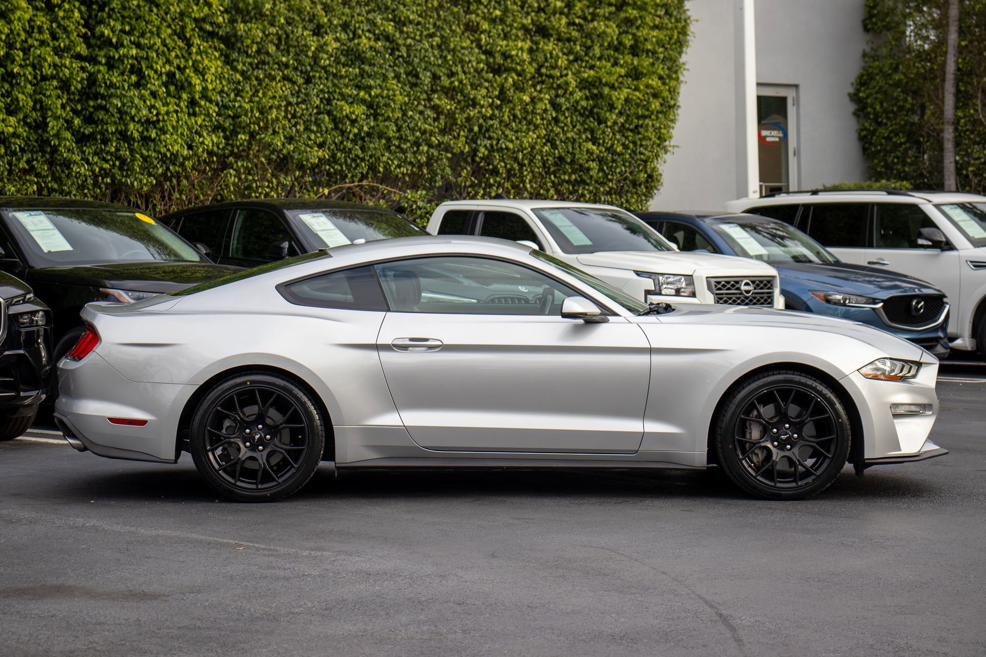 Used 2019 Ford Mustang Premium w/ Ecoboost Performance Package image 4