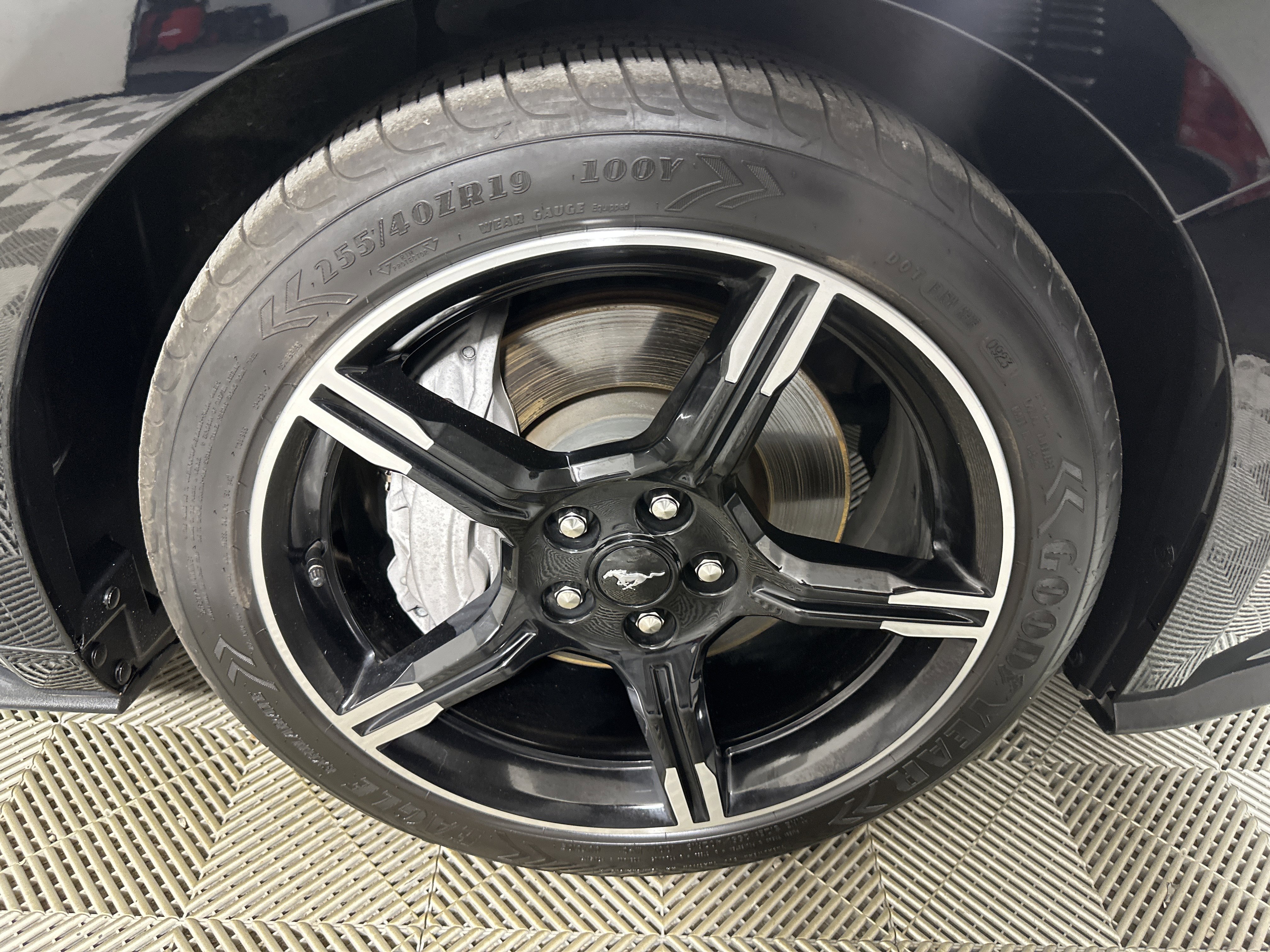 Used 2019 Ford Mustang GT Premium w/ Equipment Group 401A image 24