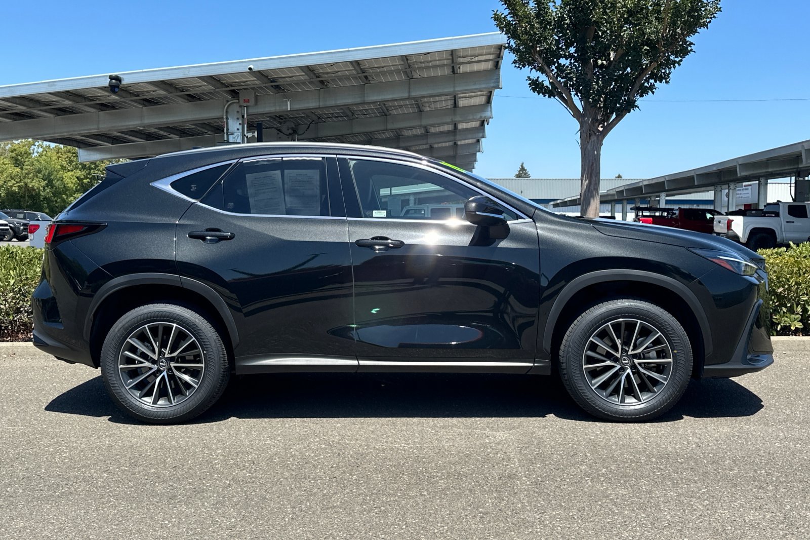 Certified 2024 Lexus NX 350h AWD image 3