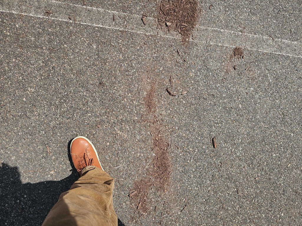 Used 2010 Acura MDX w/ Technology & Entertainment AWD/4WD image 5