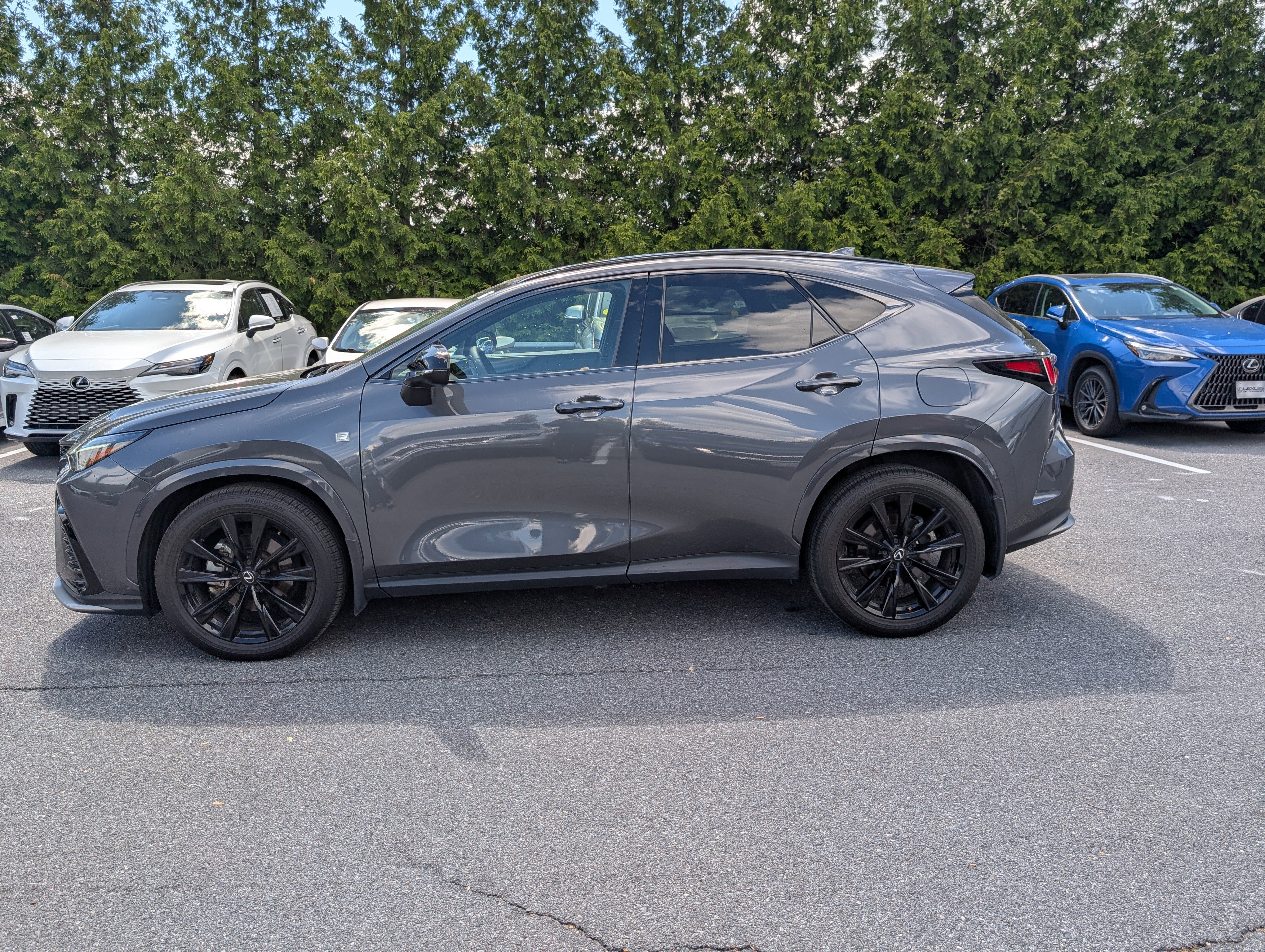 Used 2024 Lexus NX 350 F Sport image 6