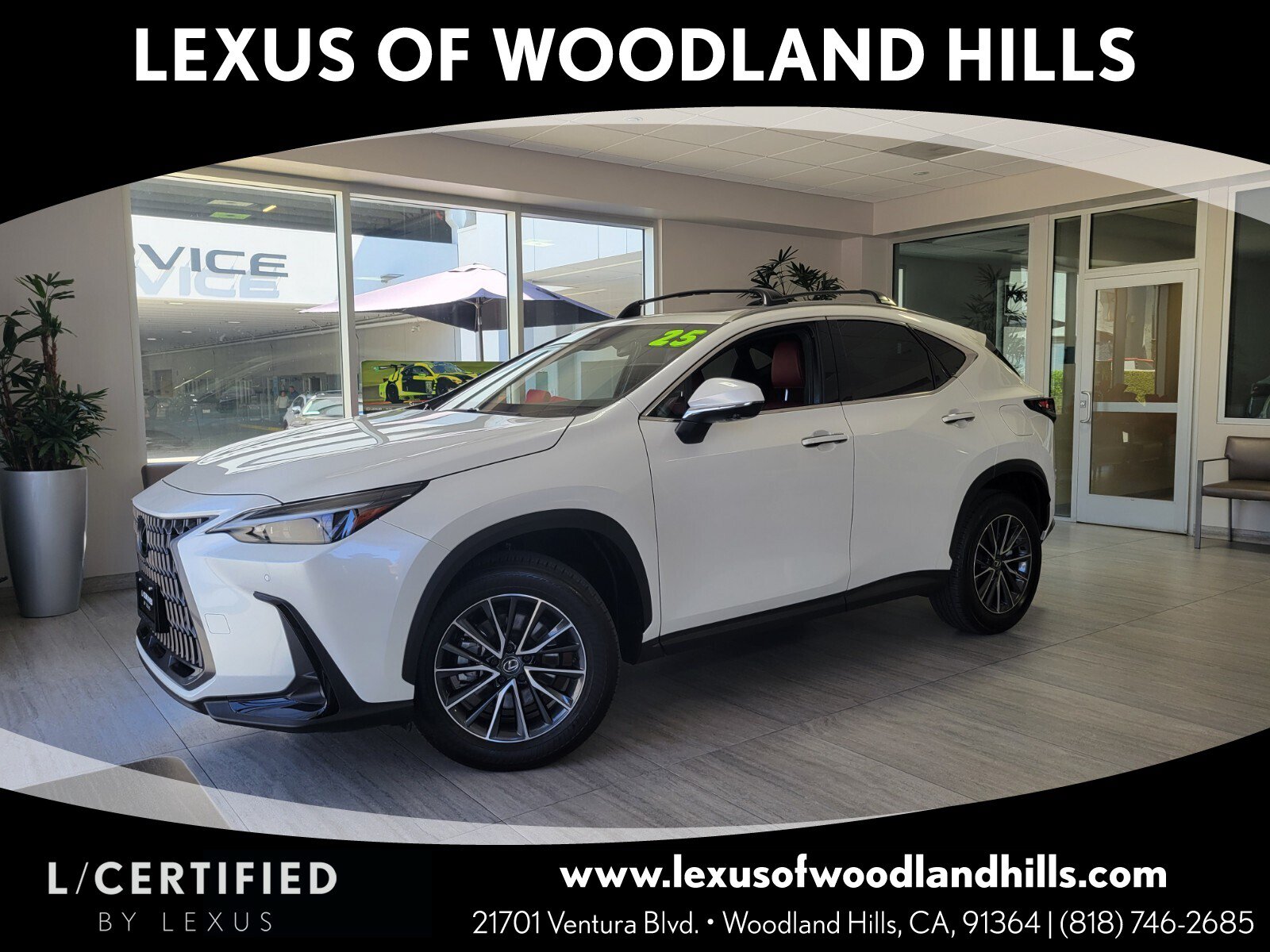Certified 2025 Lexus NX 350h AWD w/ Cold Area Package image 1