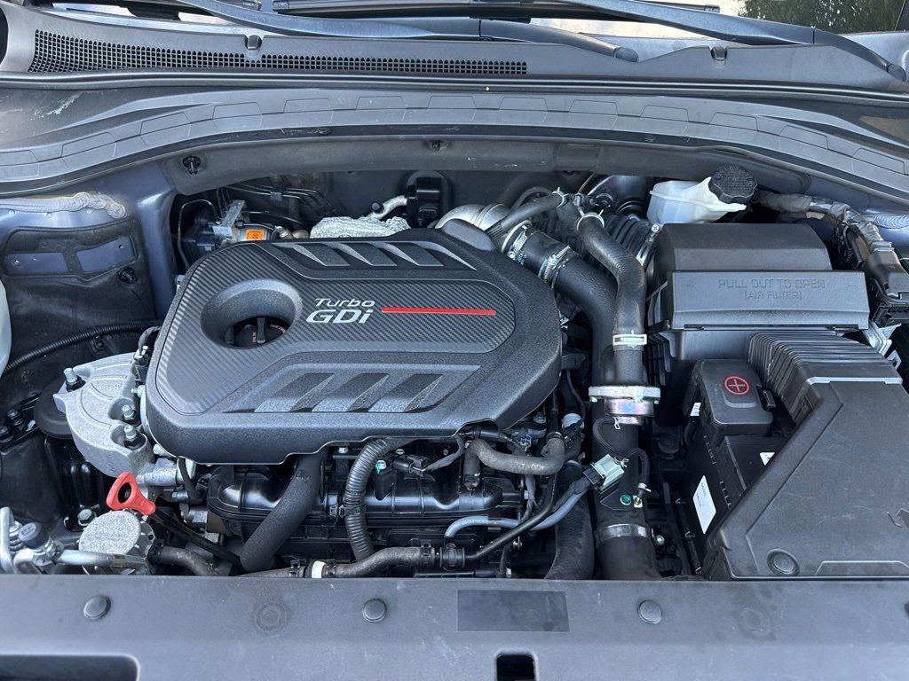 Used 2019 Hyundai Santa Fe Ultimate image 43