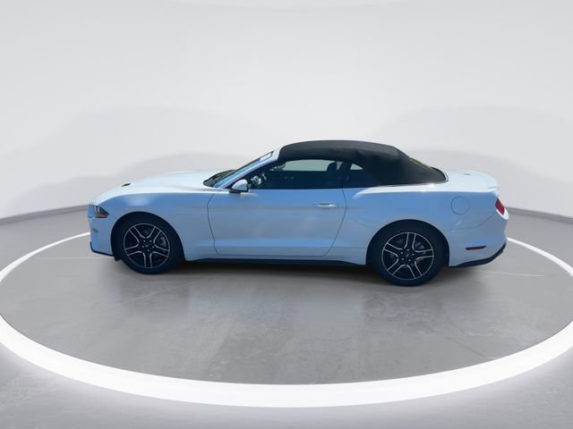 Certified 2023 Ford Mustang Premium image 4