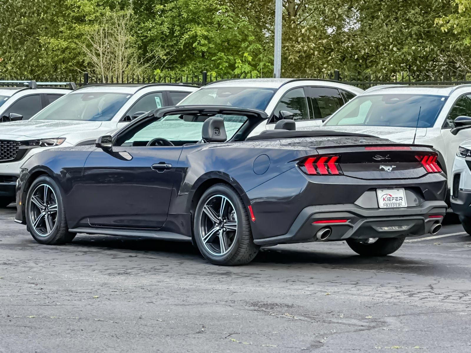 Used 2024 Ford Mustang Premium RWD image 5