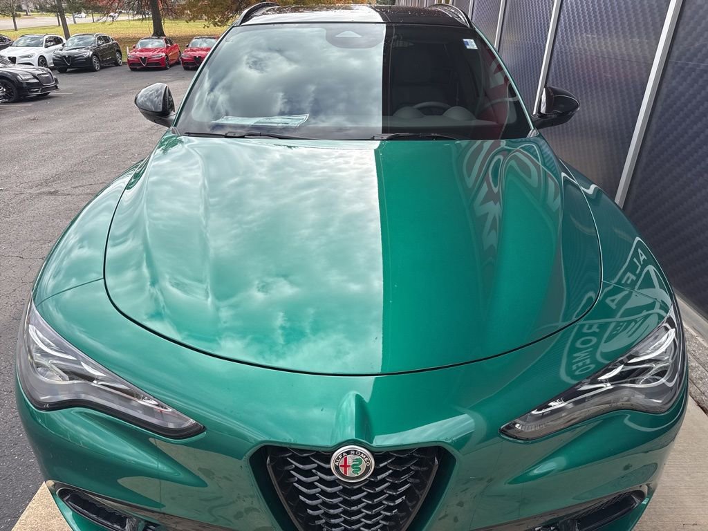 New 2025 Alfa Romeo Stelvio Sprint image 5