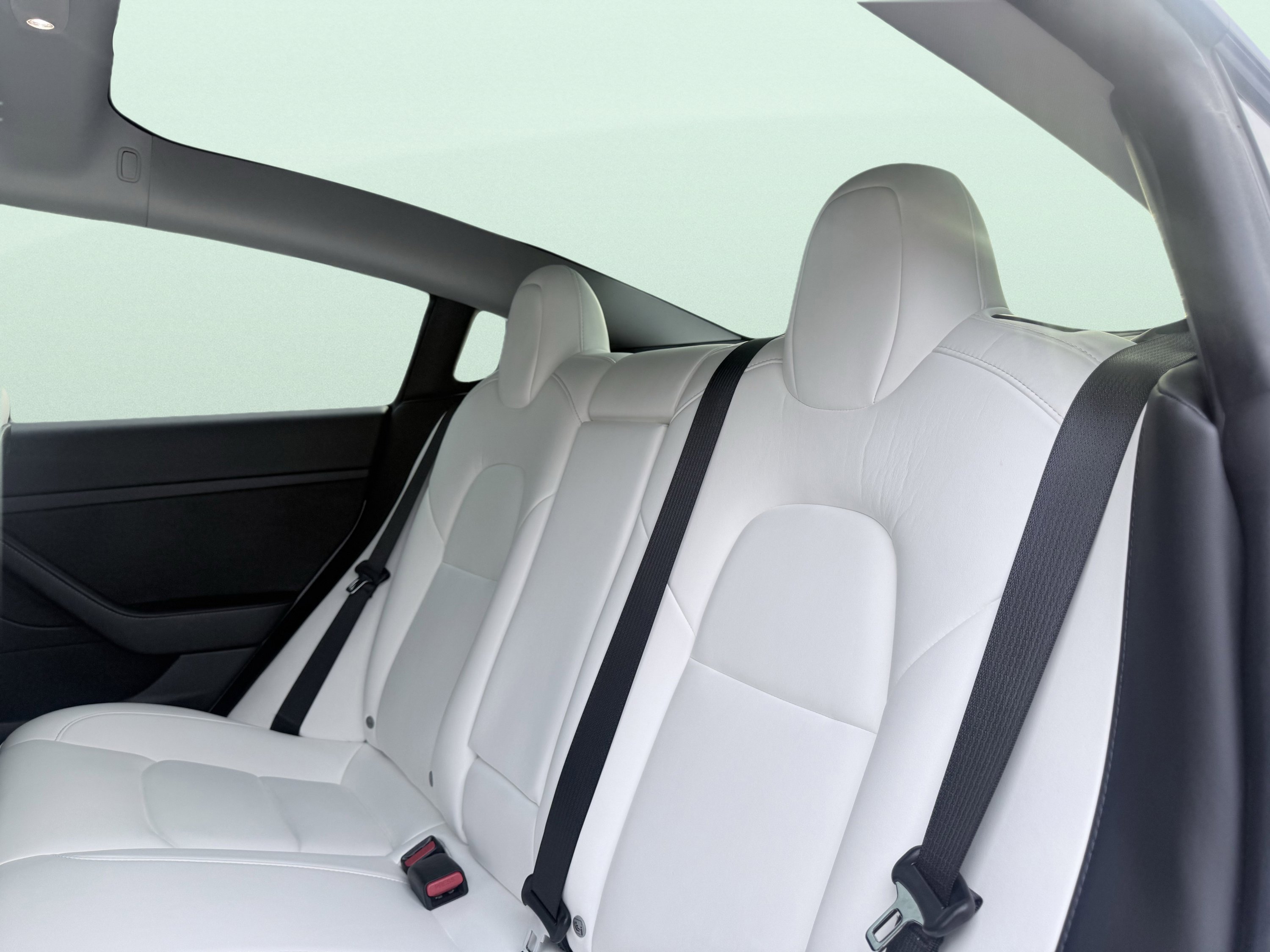 Used 2021 Tesla Model 3 Standard Range Plus image 42