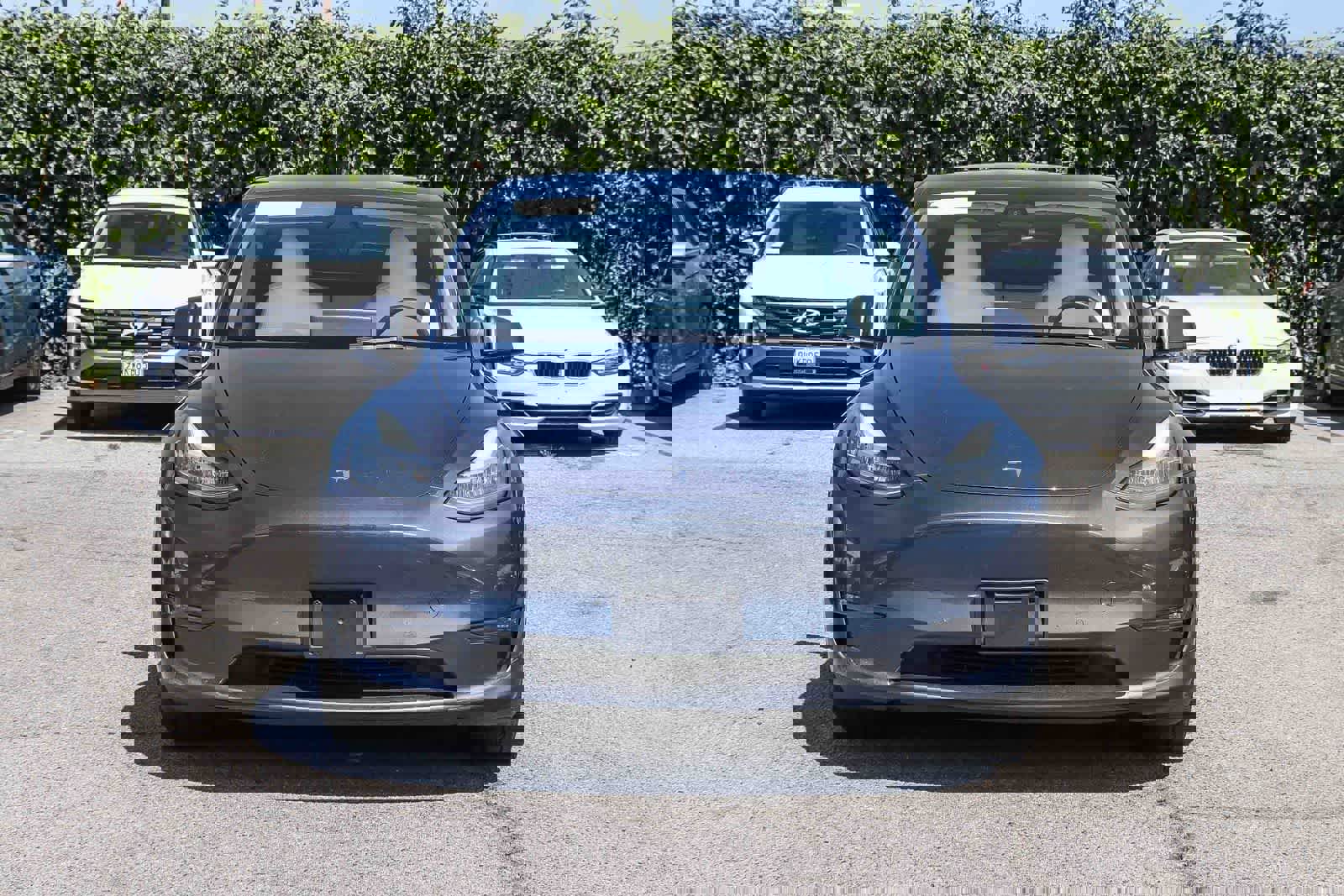 Used 2021 Tesla Model Y Long Range image 6