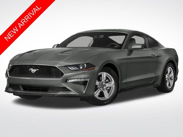 Used 2019 Ford Mustang Coupe w/ Equipment Group 101A RWD image 1
