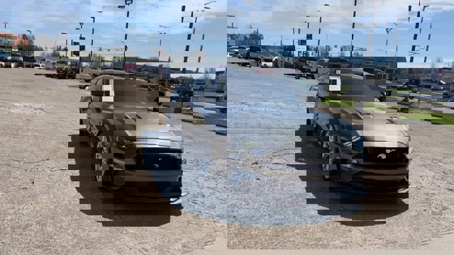 Used 2019 Ford Mustang GT Premium image 3