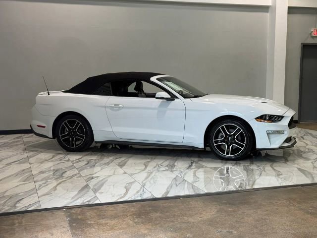 Used 2019 Ford Mustang Premium RWD image 5