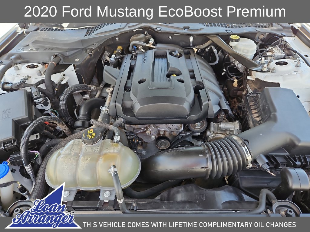 Used 2020 Ford Mustang Premium RWD image 15