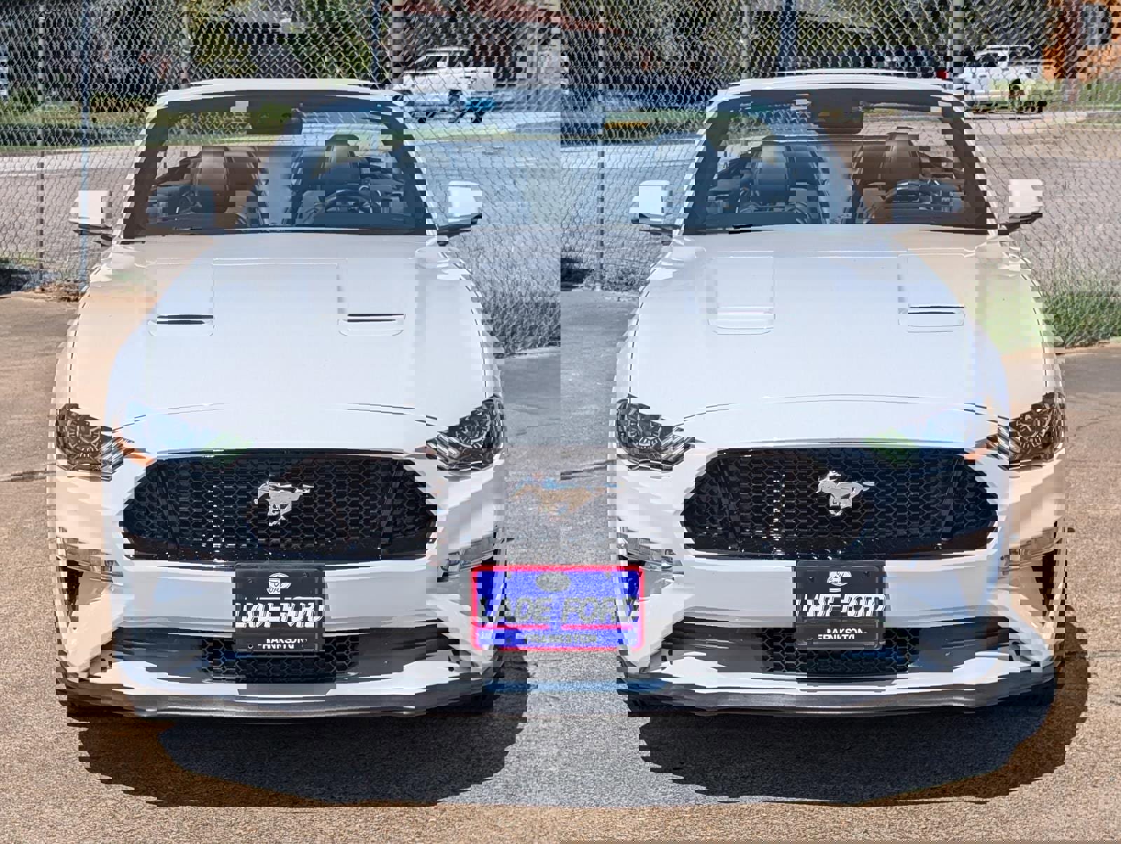 Used 2019 Ford Mustang GT Premium w/ Equipment Group 401A image 2