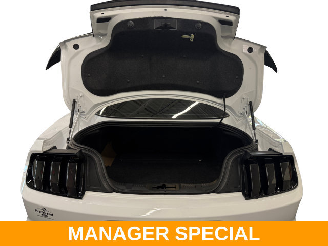 Used 2022 Ford Mustang GT w/ Equipment Group 301A RWD image 15