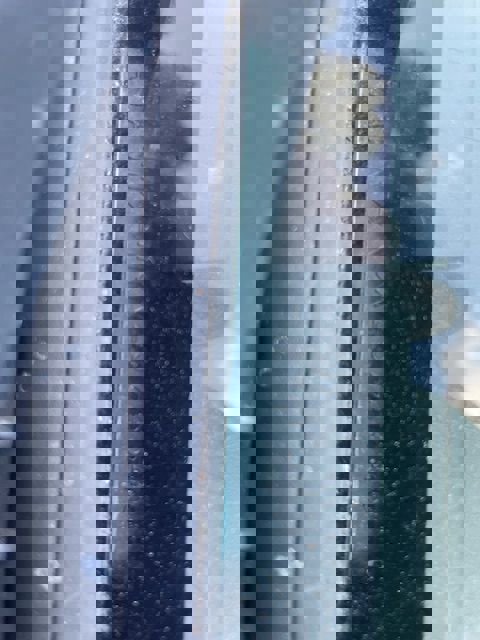 Used 1999 Toyota Tacoma 4x4 Xtracab V6 image 95