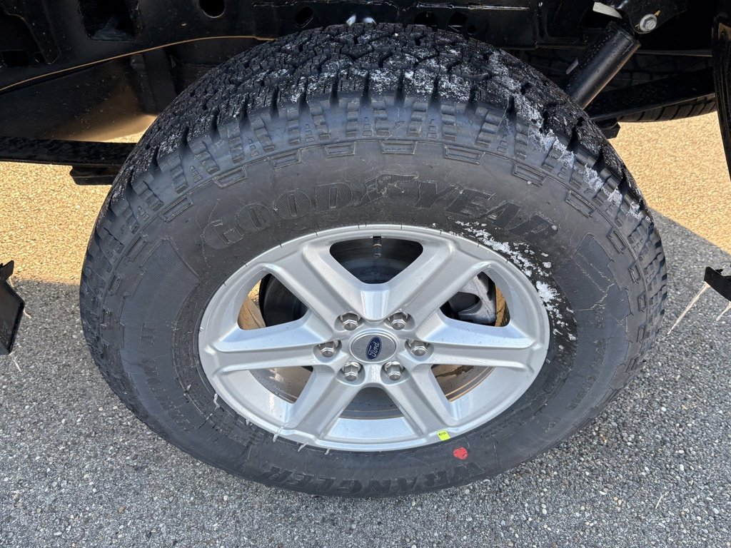 New 2026 Ford F150 XLT w/ Tow/Haul Package image 13