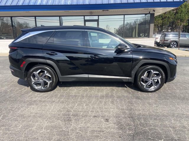 Used 2024 Hyundai Tucson Limited image 2