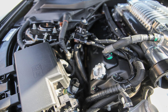 Used 2017 Ford Mustang GT Premium w/ Equipment Group 401A image 19