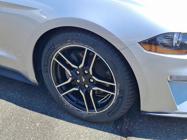 Used 2019 Ford Mustang Premium RWD image 30