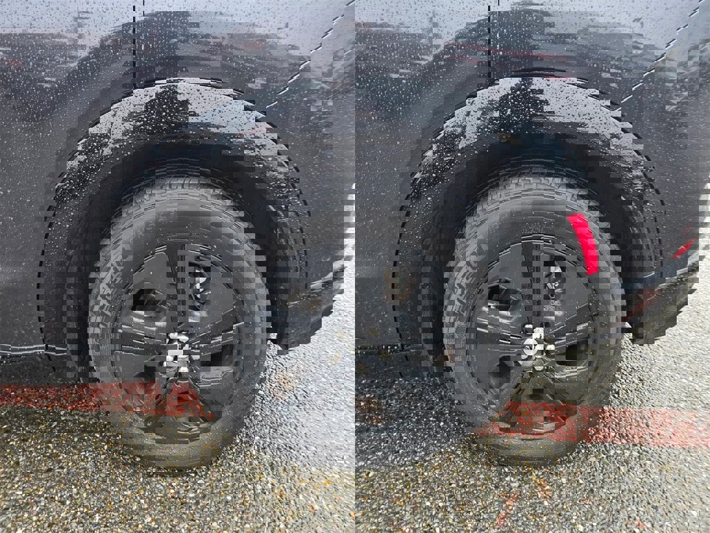 Used 2021 Ford Mustang Mach-E California Route 1 image 6